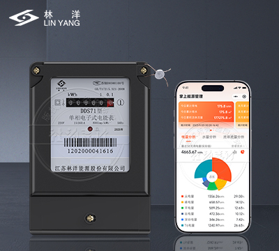 江蘇林洋DDS71電能表(計(jì)度器款)
